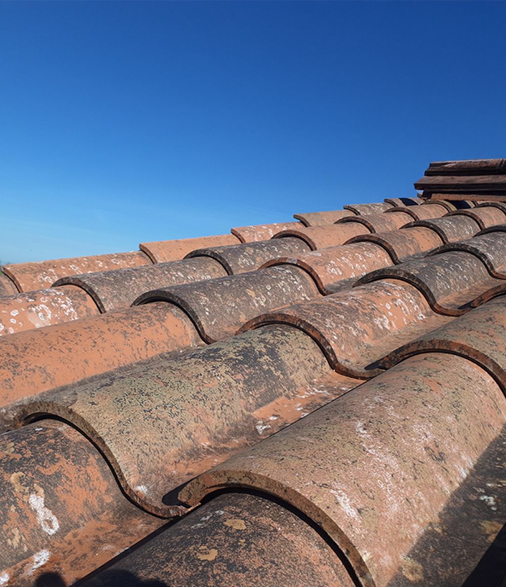 あの美しさを伝えたい